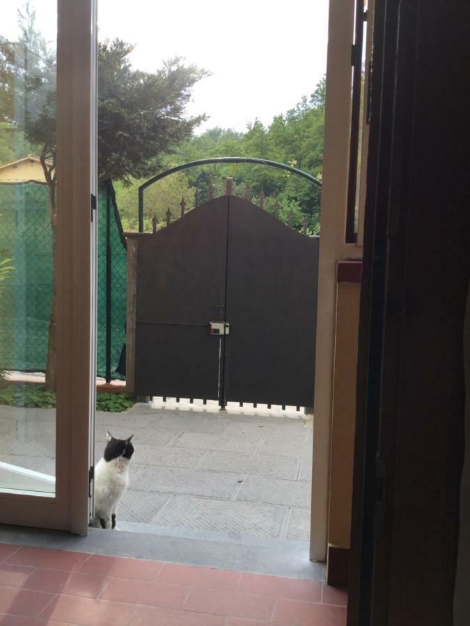 Appartamento Casa Taiuti San Piero a Sieve Esterno foto